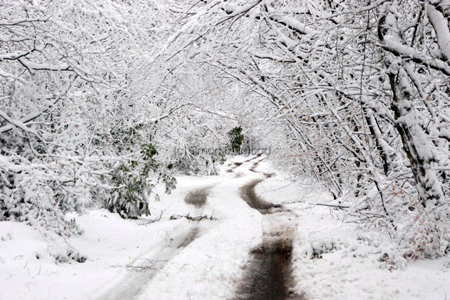 [snow20]