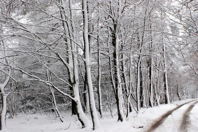 [snow28]