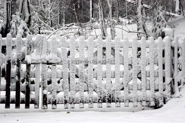 [snow39]