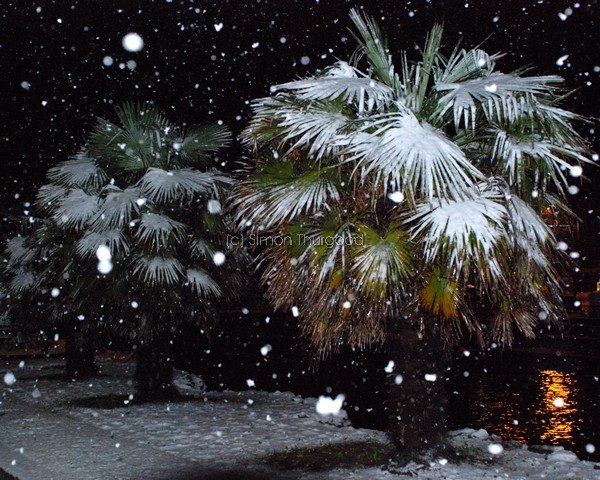 [snow4]