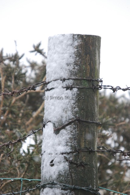 [snow42]
