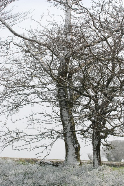 [snow45]