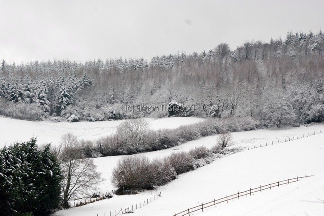 [snow6]