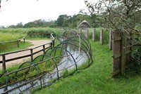 [Some of the Duck Funnels at the Swannery]