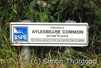 [Aylesbeare Common]