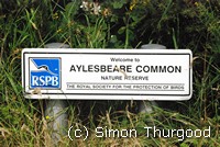 [Aylesbeare Common]
