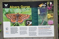[alners gorse]