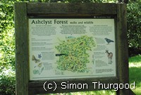 [Ashclyst Forest]