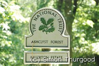 [Ashclyst Forest]