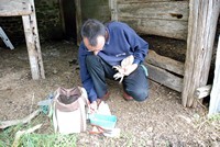 [Information about a Barn Owl being recorded - Barn Owl Trust]
