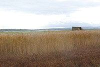 [One of the hides at Stert Point]