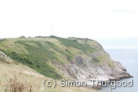 [Berry Head]