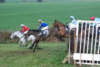 [Horse racing - Point 2 Point, Black Forest]