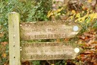 [Footpath signs]