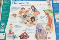 [Safety looking for fossils notice board]