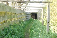 [entrance to one of the hides]