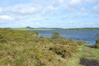 [colliford lake]