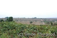[Looking over the common]