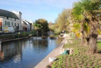 [A view along the brook in Dawlish]
