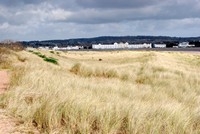 [The sand dunes at Dawlish Warren]