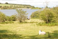 [Picnic area and the dam]