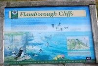 [Flamborough Head]