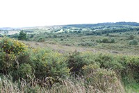 [Overlooking the heathland]