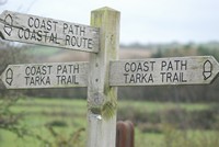 [Islay Marsh]