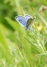 [largeblue1]