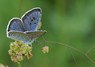 [largeblue10]