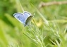 [largeblue2]