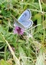 [largeblue5]