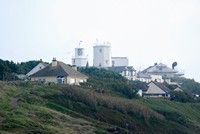 [Lizard point]