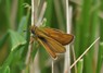 [lulworthskipper2]