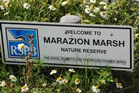 [marazion marsh]