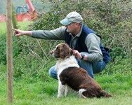 [Gun dog scurry, waiting for the off]