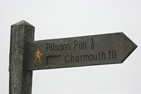 [that way]