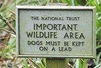 [wildlife]