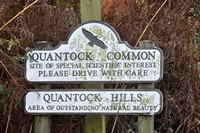 [Quantock hills]