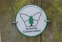 [butterfly conservation]