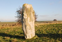 [stones from the Avenue]