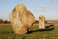 [stones from the Avenue]