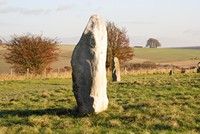 [stones from the Avenue]