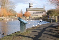 [slimbridge]