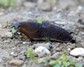 [slug3]