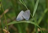 [smallblue6]