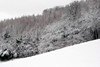 [snow16]