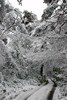 [snow30]