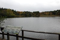 [The lake at Stover Country Park]