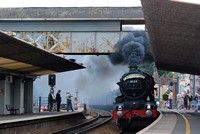 [A steam traing passing through Dawlish railway station]